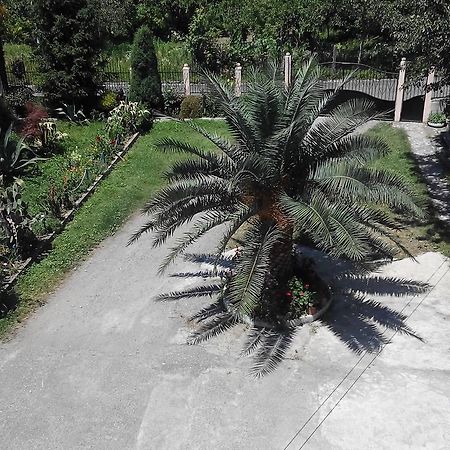Guest House Vitali Gonio Exterior foto